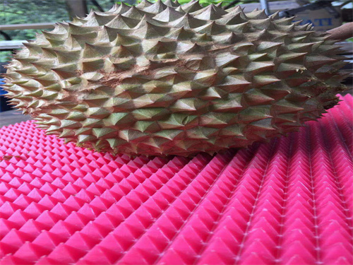 Durian special cutting board